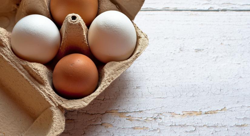 Egyre több tojást eszünk, pedig évről évre drágább