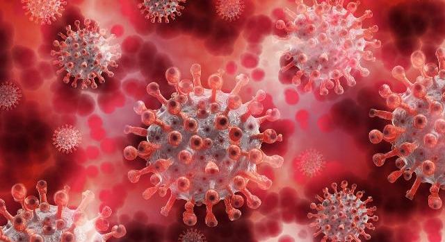 Koronavírus - Elhunyt két beteg, 501 új fertőzöttet találtak Magyarországon
