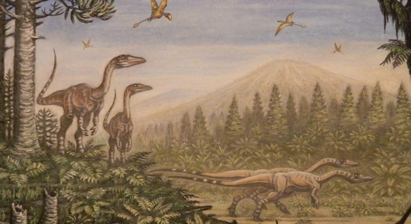 Néhány dinoszaurusz csóválhatta a farkát