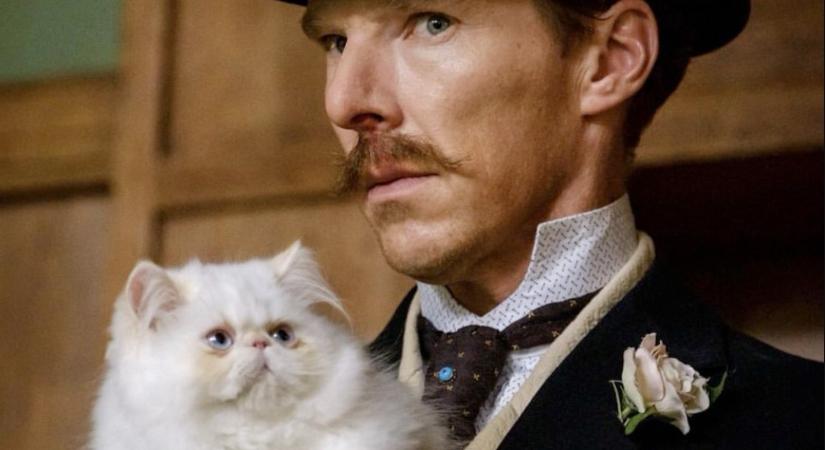 Benedict Cumberbatch cuki kiscicákat fest egy kosztümös drámában: Megérkezett a The Electrical Life of Louis Wain előzetese