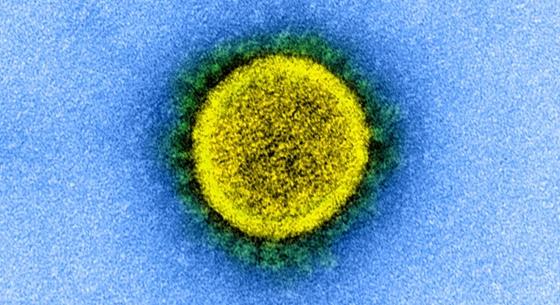 Az AstraZeneca fejlesztői szerint jövő tavaszra olyan lesz a koronavírus, mint a nátha