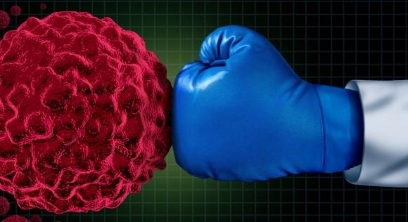 Új gyógyszerszállítási módszer: csak a tumorban aktiválódó onkológiai hatóanyagok