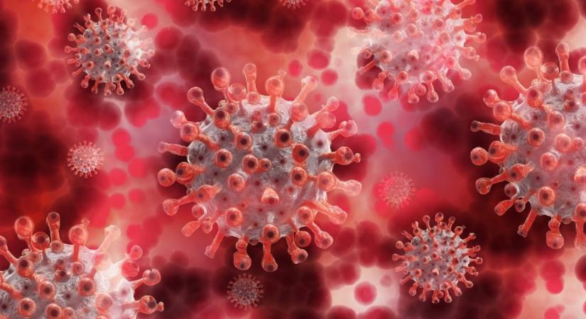 Tavaszra náthává szelídülhet a koronavírus az AstraZeneca fejlesztői szerint