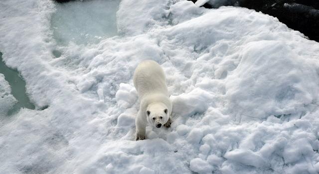 Klímaváltozás: elérte idei legkisebb kiterjedését az északi-sarkvidéki jég