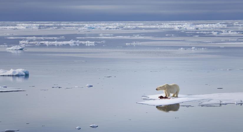 Elérte idei legkisebb kiterjedését az északi-sarkvidéki jég