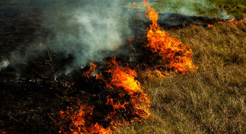 Füst és bűnhődés: szörnyű büntetés várhat az avarégetőkre