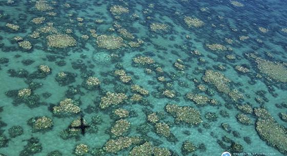 Átolvastak 14 705 tanulmányt, és úgy néz ki, drámai a világ korallhelyzete