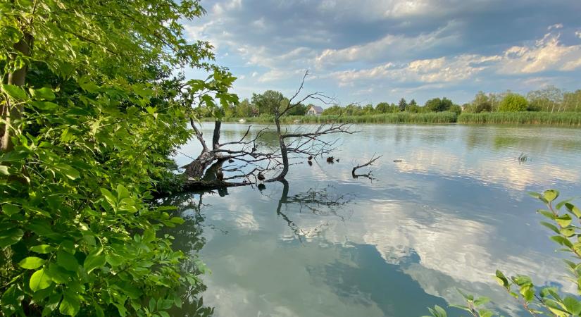 Nagy a baj: pótolni kell a vizet a Ráckevei-Duna-ágon