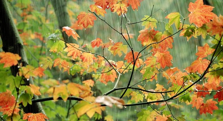 Durva viharokkal tör be a lehűlés az országba: így mossa el az eső az őszi meleget