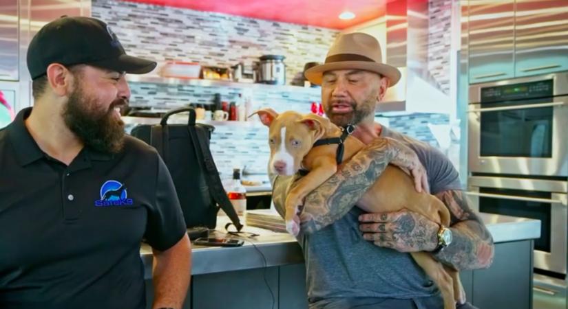 Dave Bautista örökbe fogadott egy bántalmazott kutyát, és pénzt ad annak, aki megtalálja az előző gazdáját