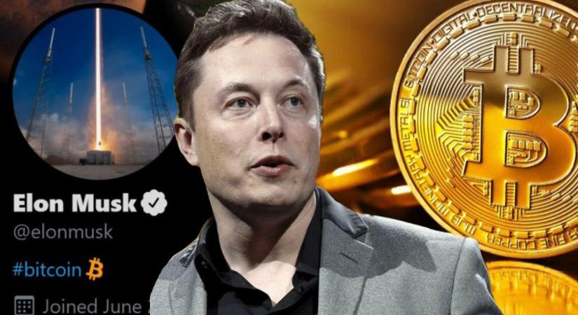 Elon Musk: a szabályozás lassíthatja a kriptovaluták fejlődést