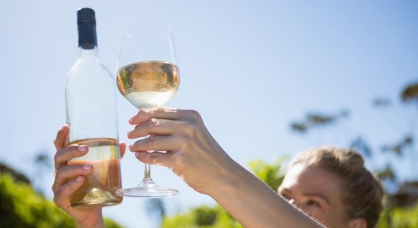6 kérdés a borról, amit kezdő, és haladó borkóstolók is gyakran megkérdeznek