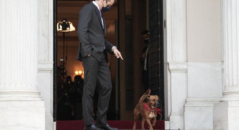A görög miniszterelnök kutyája, Peanut ellentmondást nem tűrően beleugatott egy sajtótájékoztatóba