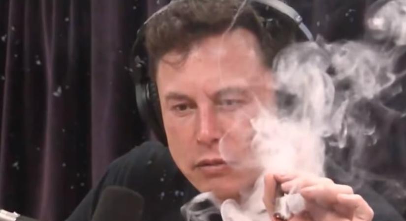 Elon Musk akkorát trollkodott, hogy arra szavak sincsenek