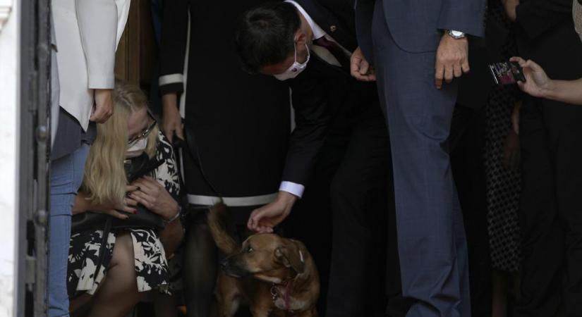 Beleugatott a sajtótájékoztatóba a görög miniszterelnök kutyája