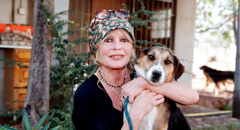 Brigitte Bardot elküldte a francba a budapesti vadászati kiállítást