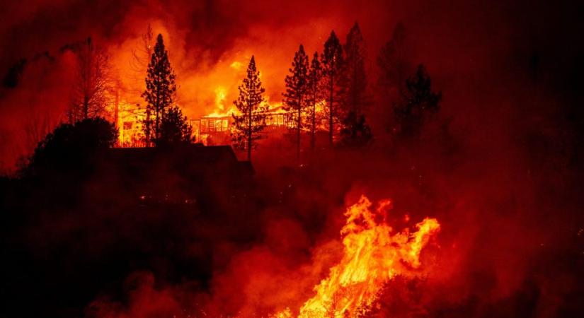 Mamutfenyők pusztulnak el a kaliforniai tüzekben