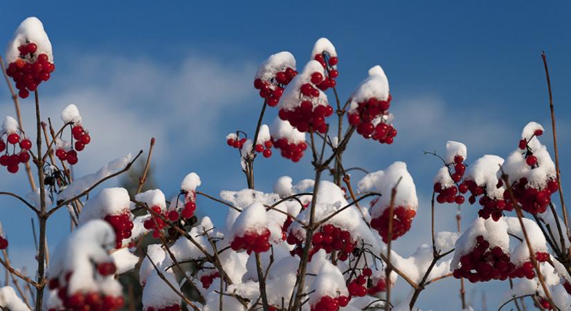 Bekeményített az időjárás: leesett az első hó hazánkban – Videó