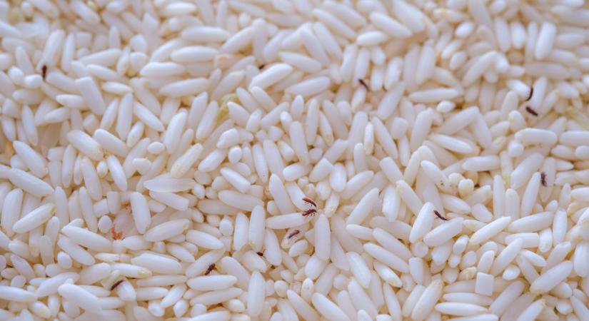 Undorító, mi lapult a tescós rizsben: ha te is vettél, meg ne edd!