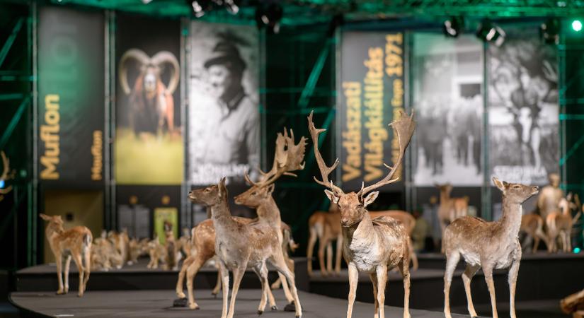 A Hungarikum Gála zárja a vadászati világkiállítást a fővárosban