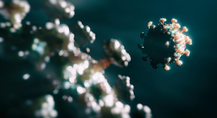 Koronavírus: 1000 fölé emelkedett az új fertőzöttek száma, rekord a negyedik hullámban