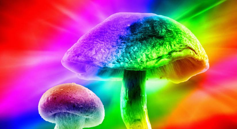 Az LSD és a gomba a szívbetegségek és a cukorbetegség megelőzését is segítheti