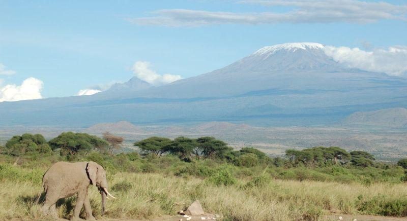 Felbringázott a Kilimandzsáróra Zichó Viktor extrém kerékpáros