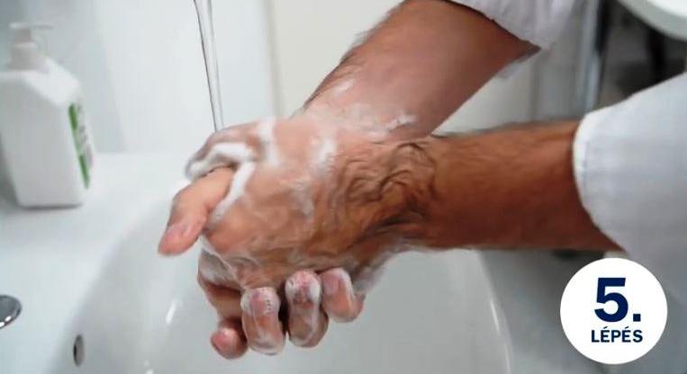 Ma van a kézmosás világnapja: A lakosság nagy része nem tud helyesen kezet mosni – Oktatóvideóval