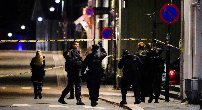 A norvég rendőrség szerint pszichés zavarokkal küszködhetett a Kongsbergben íjjal gyilkoló merénylő