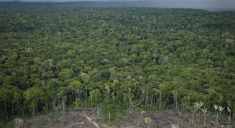 Nehezebb lesz védett amazóniai földeket vásárolni Facebookon