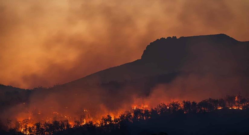 Az ausztráliai bozóttüzek voltak a legnagyobb hatással a klímaváltozásra 2020-ban egy amerikai tanulmány szerint