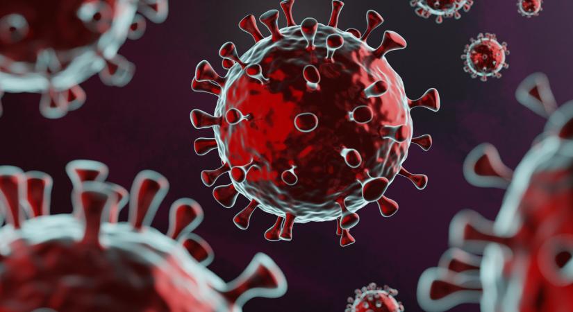 Koronavírus: 3274 fertőzöttet diagnosztizáltak három nap alatt, 51 beteg elhunyt