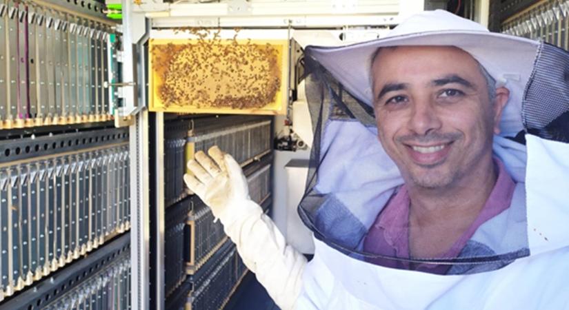 Techguru egy hagyományos ágazatban: így mentik meg a méheket és az emberiséget