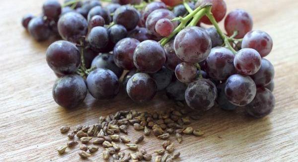 A szőlőmag fogyasztása jó hatással van az egészségünkre