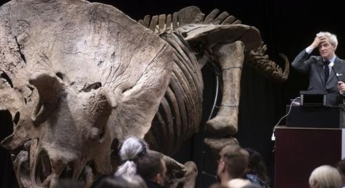 6,6 millió eurót fizetett valaki a legnagyobb ismert triceratopsz-csontvázért