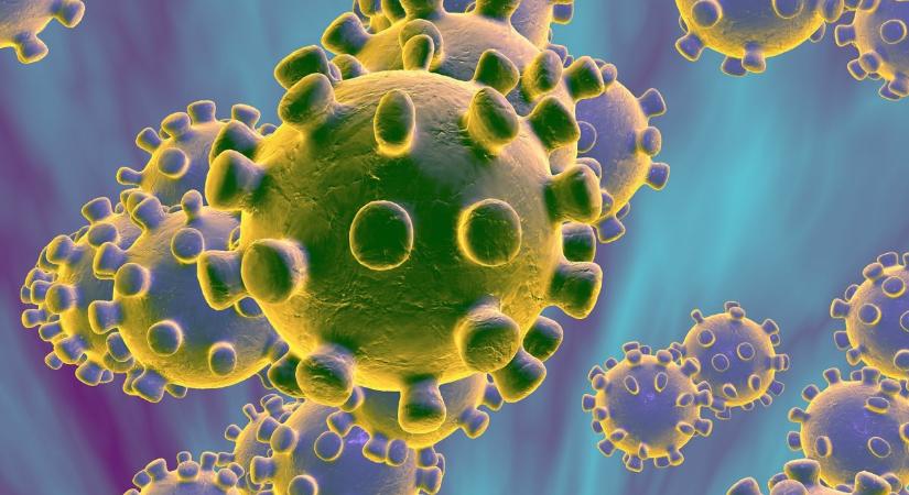 Gyorsul a járvány: 2548 új koronavírus-fertőzött, elhunyt 24 beteg