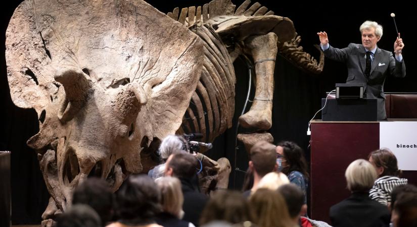 Rekordáron kelt el a legnagyobb ismert triceratopszcsontváz