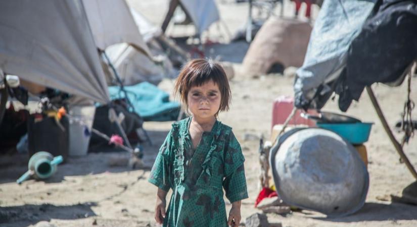 Afganisztán az összeomlás szélén áll, gyermekek fognak éhen halni