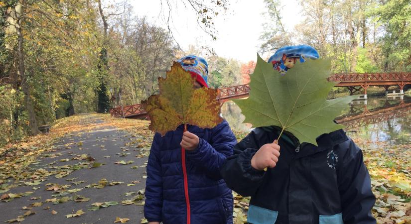 Tizenöt, élményekkel teli célpont Budapest közelében az őszi szünetre