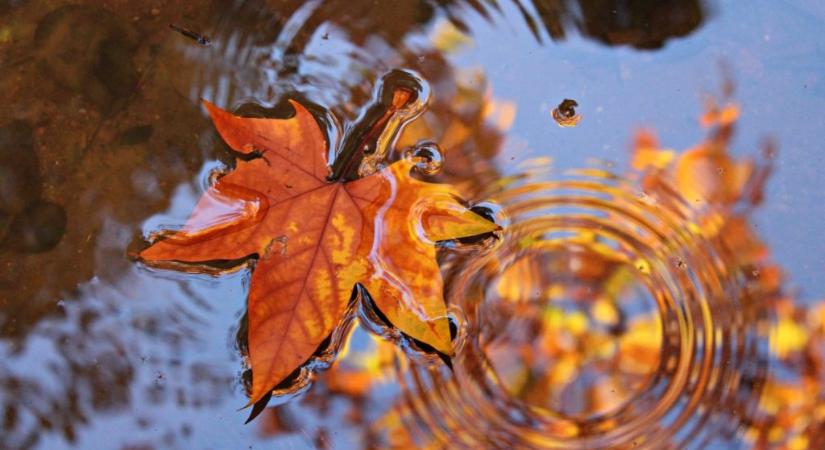 Időjárás: a nyugodt őszi időnek véget vethet a közelgő november