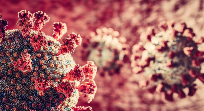 A Covid-járványt már az influenza sem bírja – Valószínűleg kihalt az egyik vírustörzs