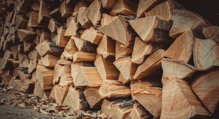 Brutális drágulás a magyar építőiparban: vizsgálják, hogy miért szállt el a fa ára