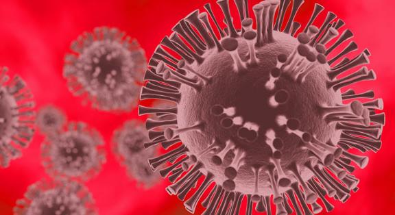 A szakemberek a koronavírus-járvány tapasztalatairól tanácskoztak