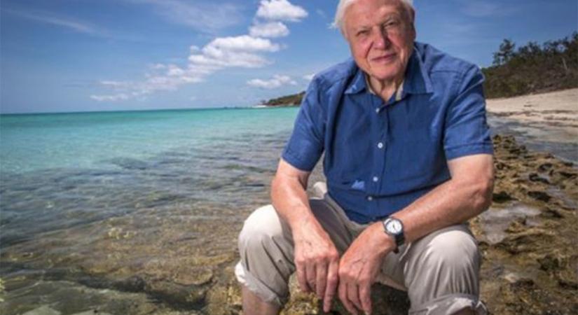 David Attenborough szerint azonnal tenni kell a klímaváltozás ellen vagy már késő lesz