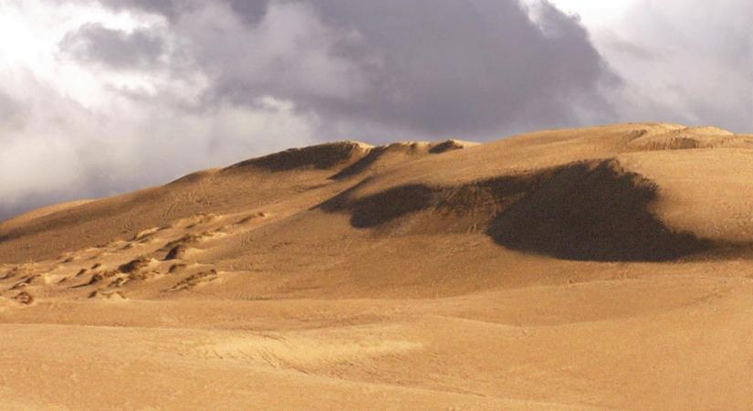 Mozgó homok, inváziós fajok és a változás szele: túl jól sikerült a tudományos kísérlet, ami a Dűnét ihlette