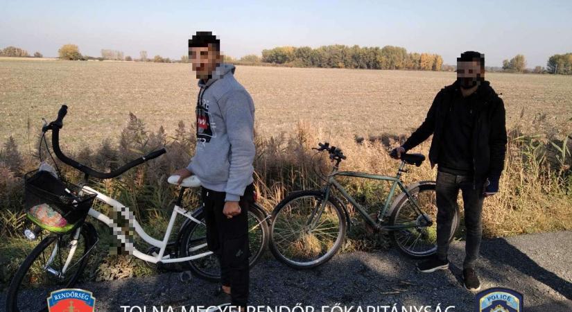 Kerékpáros migránsokat fogtak el Alsónyék térségében