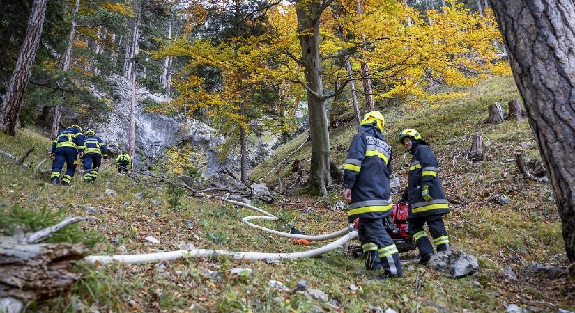 Tovább tombol az erdőtűz Ausztriában, a magyar határ közelében – A szél is nehezíti az oltást – fotók