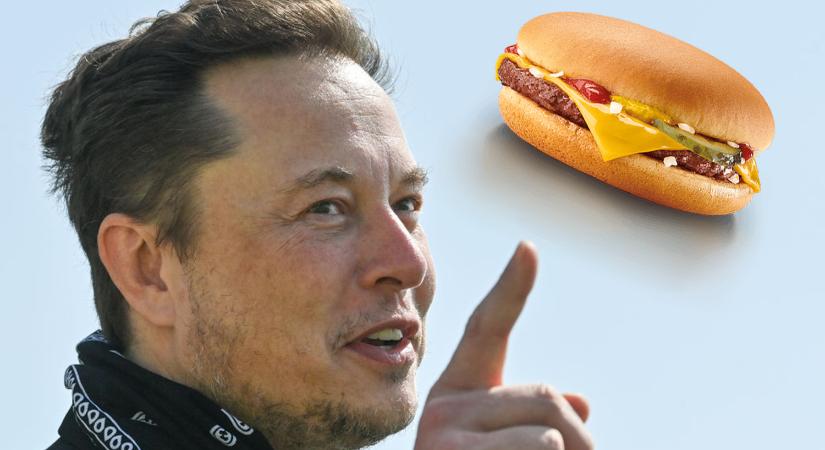 Elon Musk annyit keresett 24 óra alatt, amennyiből 27,5 milliárd darab sajtburgert vehetne
