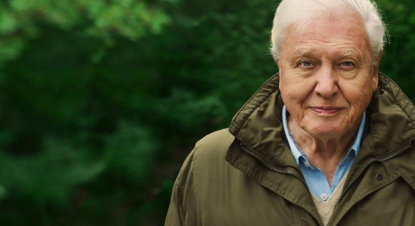 David Attenborough: ha nem teszünk most a klímaválság ellen, már késő lesz