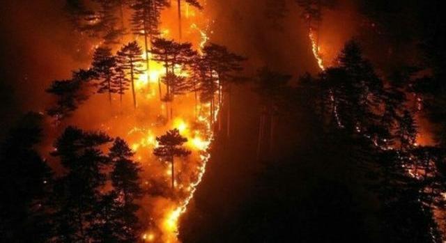 Ausztria legnagyobb erdőtüze tombol a magyar határ közelében